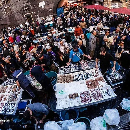 Emy's House 카타니아